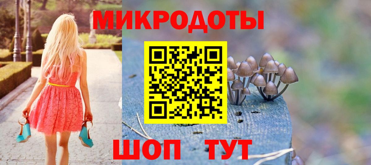 Нарткала  Галлюциногенные грибы Psilocybe  Вход с VPN 