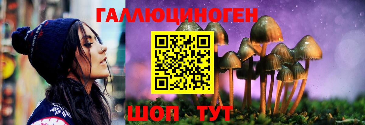 Псилоцибиновые грибы мицелий Нарткала